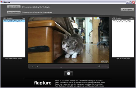 flapture-image-flv-youtube