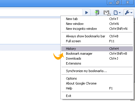 google chrome history