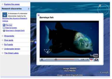 download real time ocean life google earth