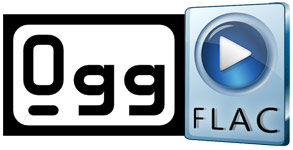 ogg file codec