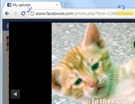 facebook photo viewer