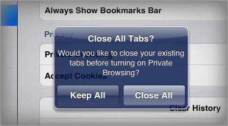 Enable private browsing mode in Safari on iPad