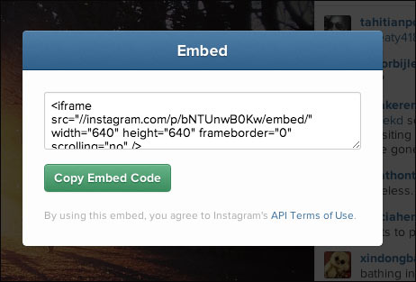 Embed code for instagram photos