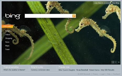 bing-search-homepage-screenshot