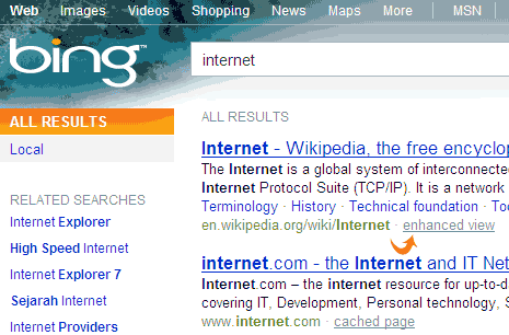 bing-wikipedia-enhanced-view-1