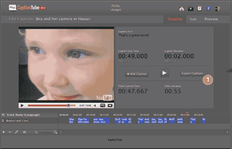 captiontube-text-on-youtube-videos captiontube-text-on-youtube-videos