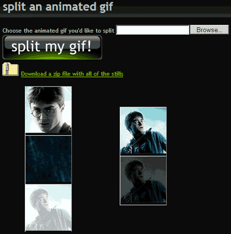 gif-ninja-static-image-extract