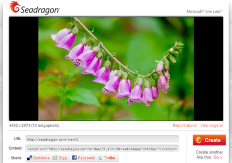 seadragon-hq-image-embed-service