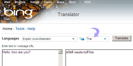 google translate english to thailand